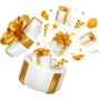 Mystery Gift