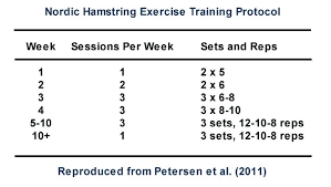 Where do I really Even Start with Nordic Curls?  Free Protocol Inside! - The Nordstick