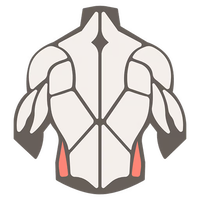 Copenhagen adductor raises for lateral sports movements