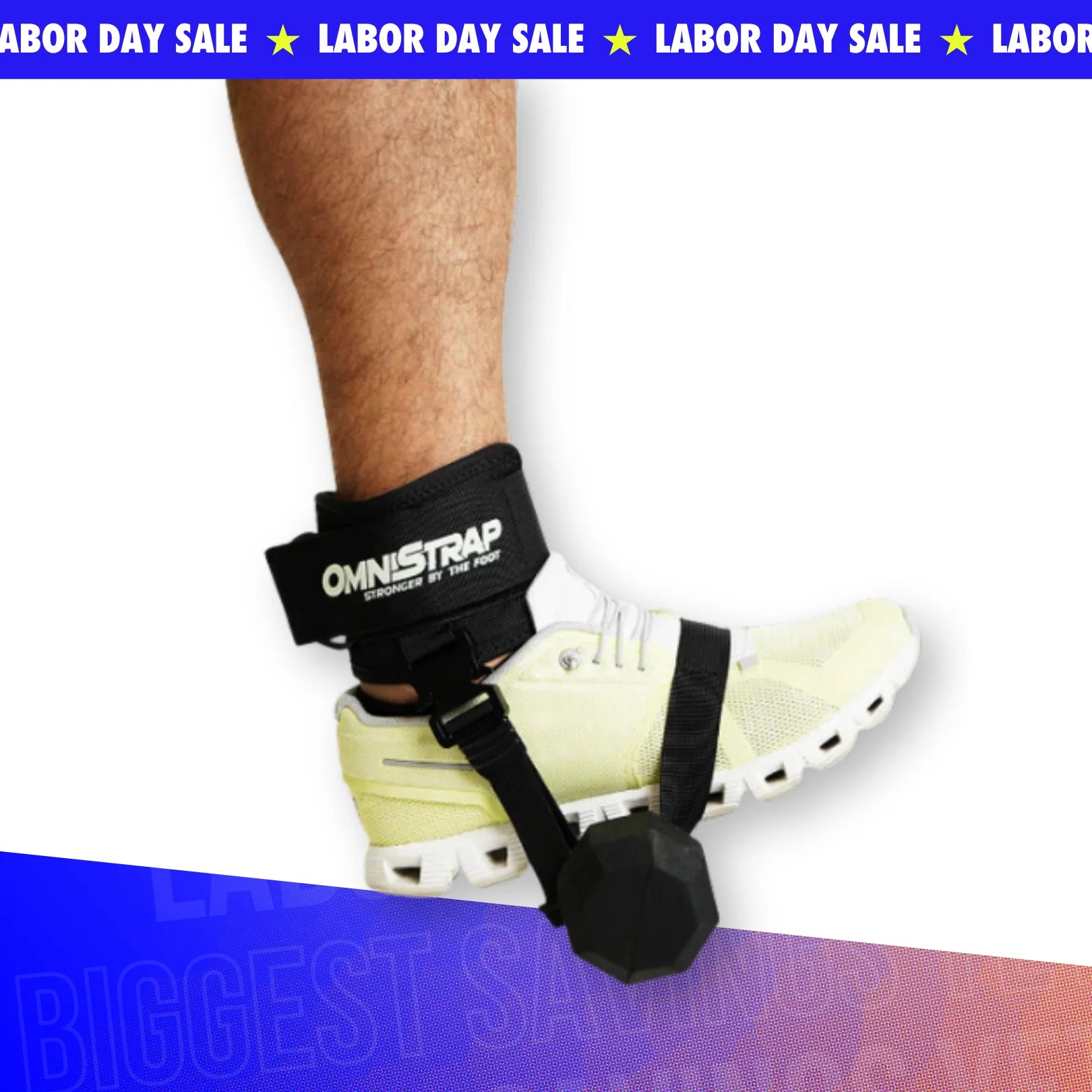 OmniStrap Pro
