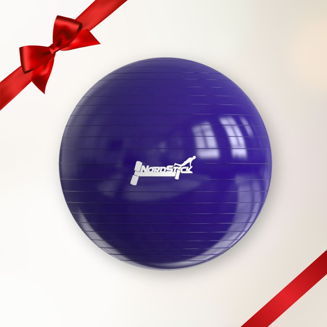 Premium Yoga ball