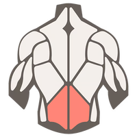 Back extensions for your low back