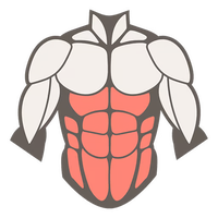 Core exercises like sit-ups and QL raises for your obliques and lower back